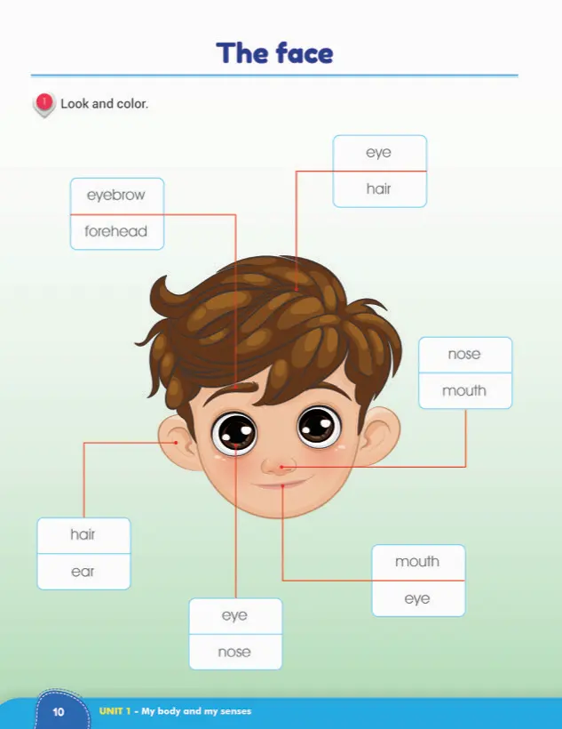 Lesson page: The face, look and color activity